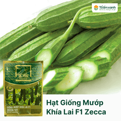 Hạt Giống Mướp Khía Lai F1 ZECCA 127 - Én Vàng