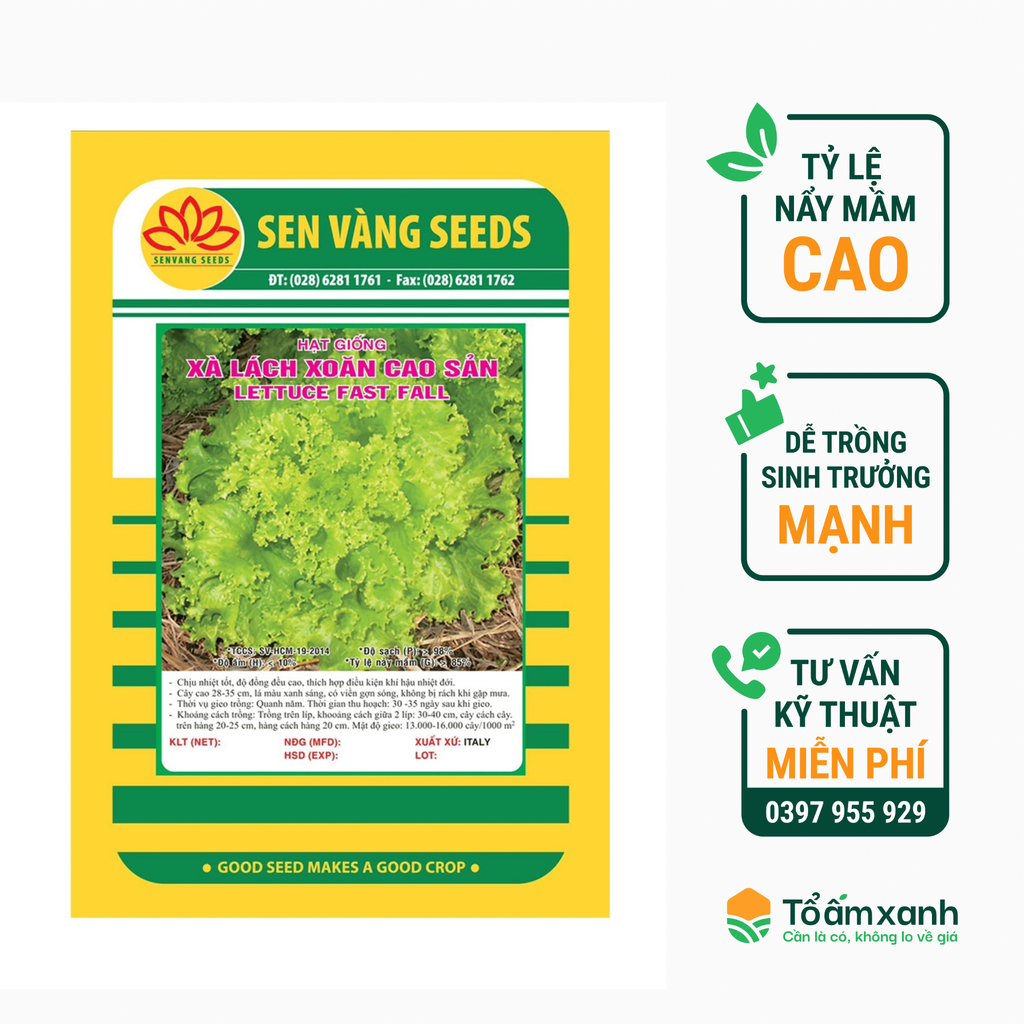 Hạt Giống Xà Lách Xoăn Cao Sản - Sen Vàng