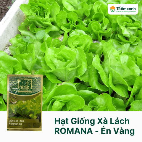 Hạt Giống Xà Lách ROMANA - Én Vàng