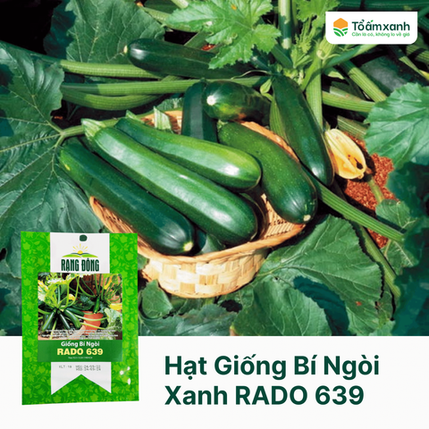 Hạt Giống Bí Ngòi Xanh RADO 639 - Rạng Đông 1 Gram