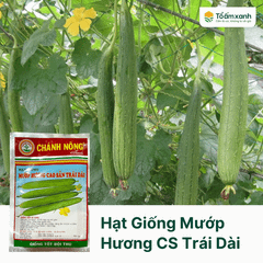 Hạt Giống Mướp Hương Cao Sản Trái Dài - Chánh Nông