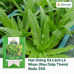 Hạt Giống Xà Lách Lá Nhọn (Rau Diếp Thơm) RADO 358 - Rạng Đông