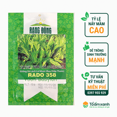 Hạt Giống Xà Lách Lá Nhọn (Rau Diếp Thơm) RADO 358 - Rạng Đông