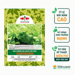 Hạt Giống Xà Lách Cao Sản PANORAMA - Hai Mũi Tên Đỏ