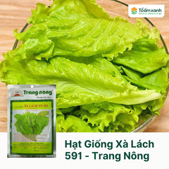 Hạt Giống Xà Lách 591 - Trang Nông