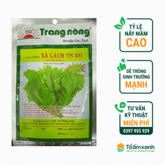 Hạt Giống Xà Lách 591 - Trang Nông