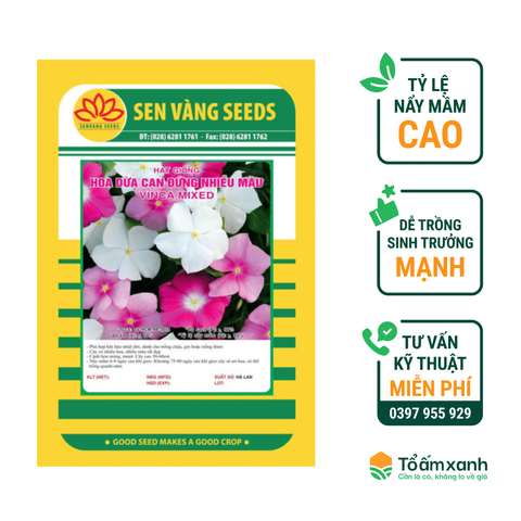 Hạt Giống Hoa Dừa Cạn Đứng Nhiều Màu - Sen Vàng  0,5 gram