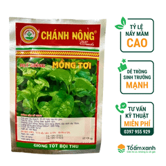 Hạt Giống Mồng Tơi - Chánh Nông