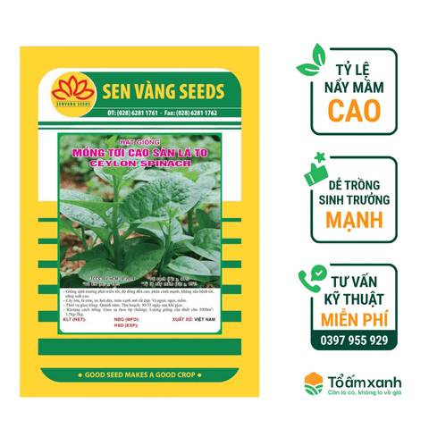Hạt Giống Mồng Tơi Cao Sản Lá To - Sen Vàng
