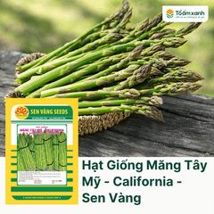 Hạt Giống Măng Tây Mỹ - California - Sen Vàng