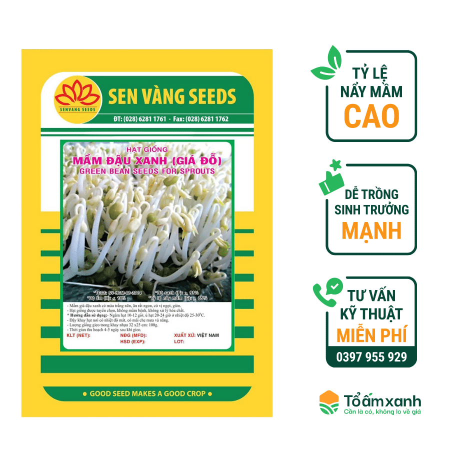 Hạt Giống Mầm Đậu Xanh (Giá) - Sen Vàng