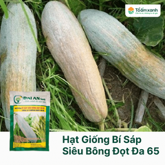 Hạt Giống Bí Sáp Siêu Bông Đọt ĐA 65