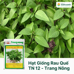 Hạt Giống Rau Quế TN 12 - Trang Nông