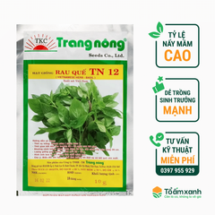 Hạt Giống Rau Quế TN 12 - Trang Nông