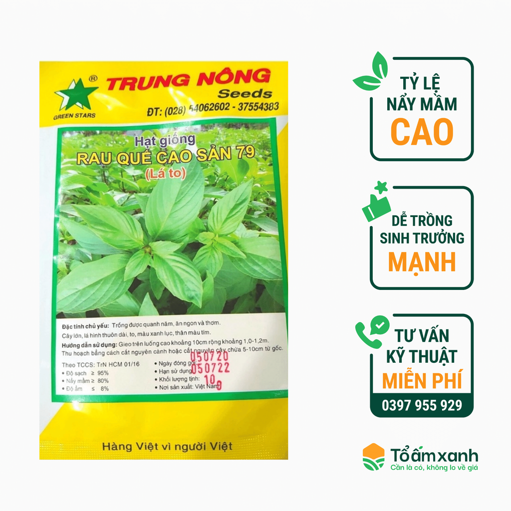Hạt Giống Rau Quế Cao Sản 79 - Trung Nông