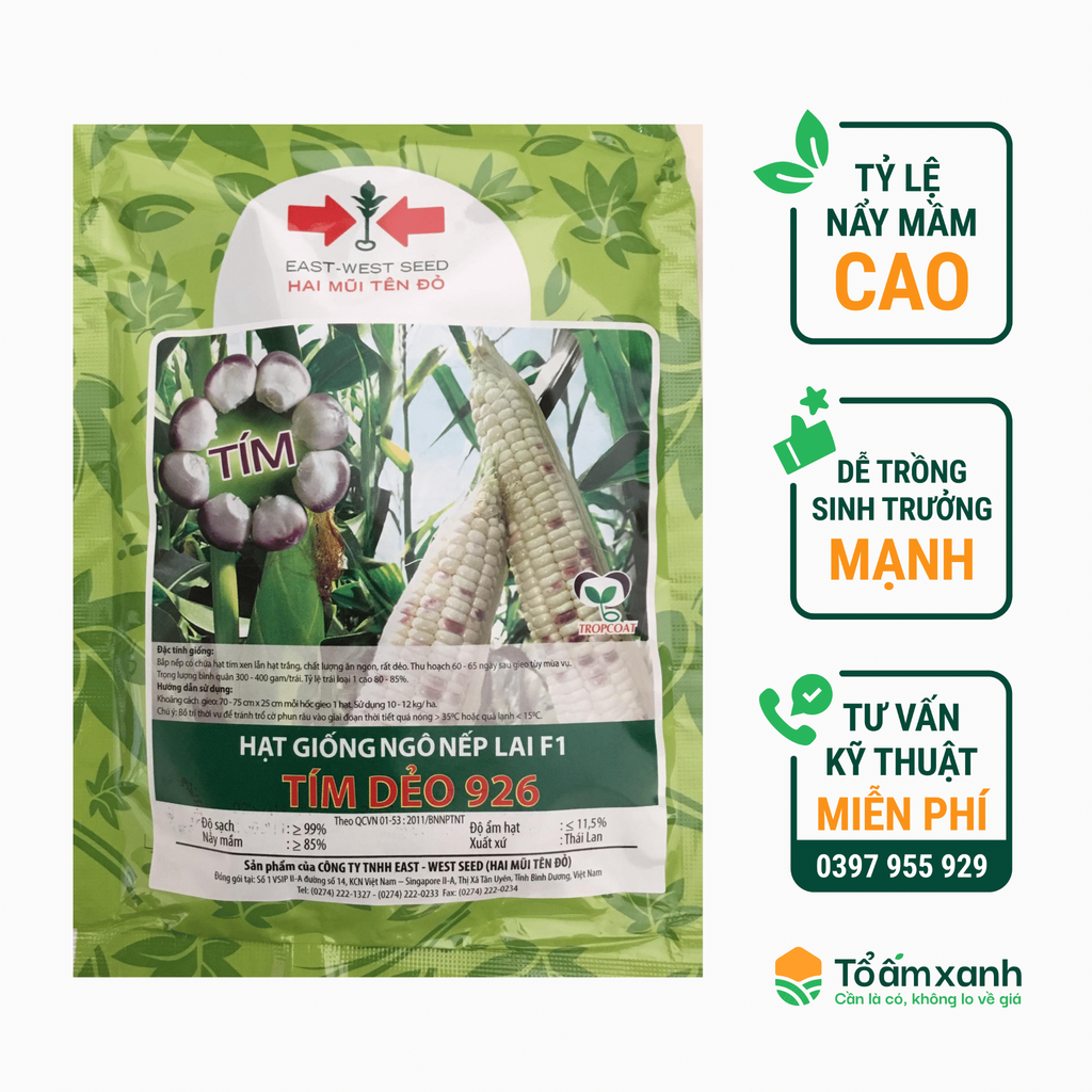 Hạt Giống Bắp Tím Dẻo 926 - Hai Mũi Tên Đỏ