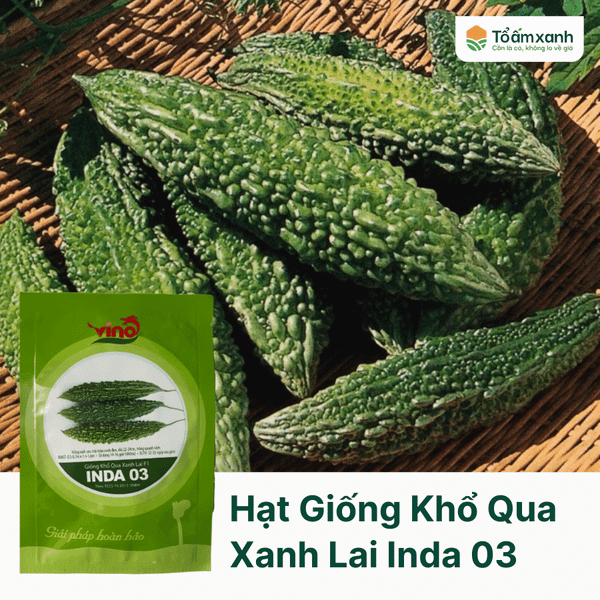 Hạt Giống Khổ Qua Xanh Lai INDA 03  - Vino
