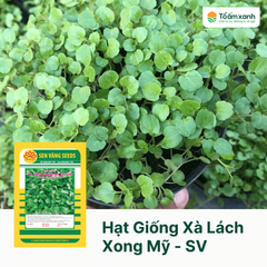Hạt Giống Xà Lách Xoong Mỹ - Sen Vàng  0.5 gram