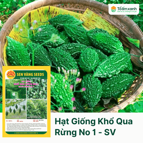 Hạt Giống Khổ Qua Rừng No 1 - Sen Vàng