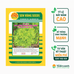 Hạt Giống Xà Lách Xoăn Cao Sản - Sen Vàng  5 gram