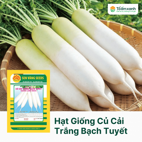 Hạt Giống Củ Cải Trắng Bạch Tuyết - Sen Vàng