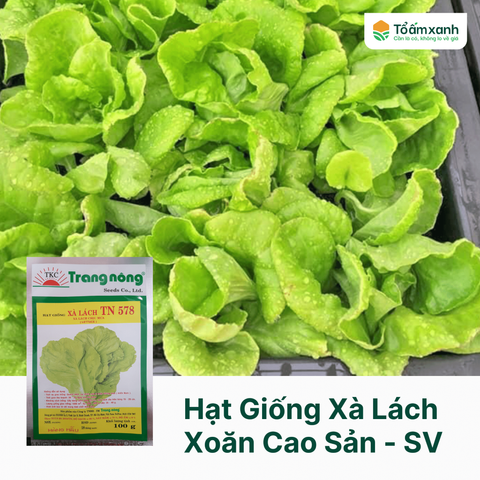 Hạt Giống Xà Lách - Trang Nông 578 - 100 gram