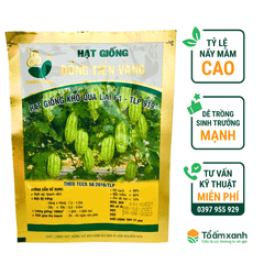 Hạt Giống Khổ Qua Lai F1 - TLP 919 . 21Gram