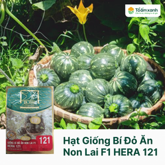 Hạt Giống Bí Đỏ Ăn Non Lai F1 HERA 121 - Én Vàng 100 Hạt