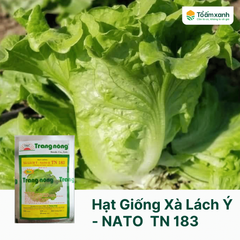 Hạt Giống Xà Lách Ý - NATO  TN 183 - Trang Nông  4 gram