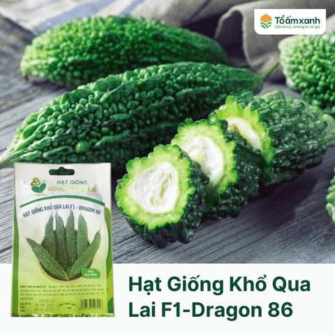 Hạt Giống Khổ Qua Lai F1 - Dragon 86 - Đồng Tiền Vàng