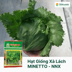 Hạt Giống Xà Lách MINETTO - Nông Nghiệp Xanh