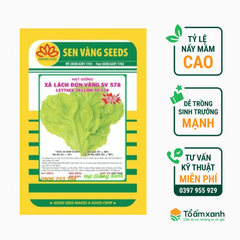 Hạt Giống Xà Lách Dún Vàng SV 578 - Sen Vàng - 10 gram