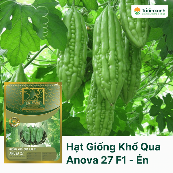Hạt Giống Khổ Qua ANOVA 27 F1 - Én Vàng