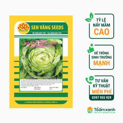 Hạt Giống Xà Lách Búp SV 101 - Sen Vàng  5 gram