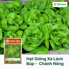 Hạt Giống Xà Lách Búp -  Chánh Nông  5 gram