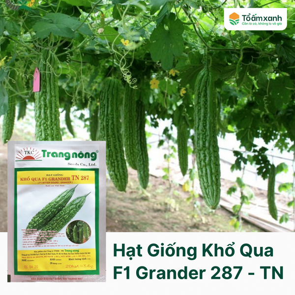 Hạt Giống Khổ Qua F1 GRANDER TN 287 - Trang Nông