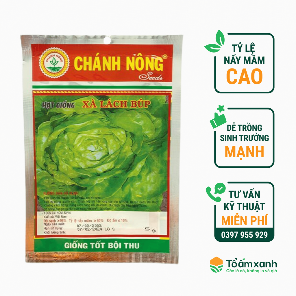Hạt Giống Xà Lách Búp -  Chánh Nông  5 gram