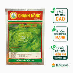 Hạt Giống Xà Lách Búp -  Chánh Nông  5 gram