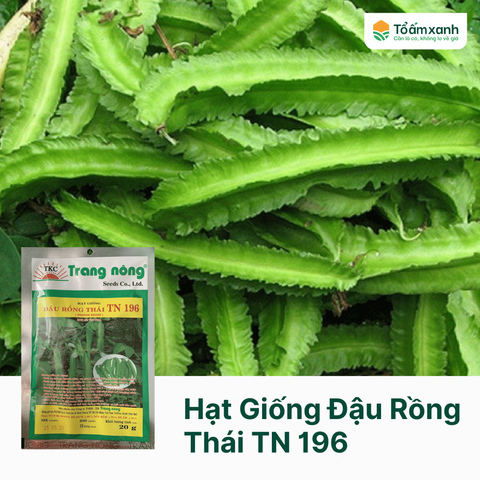 Hạt Giống Đậu Rồng Thái TN 196 - Trang Nông 20 Gram