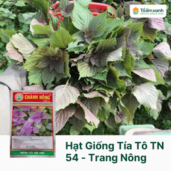 Hạt Giống Tía Tô -  Chánh Nông  - 5 gram