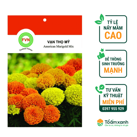 Hạt Giống Hoa Vạn Thọ Mỹ - Floralseeds Việt Nam