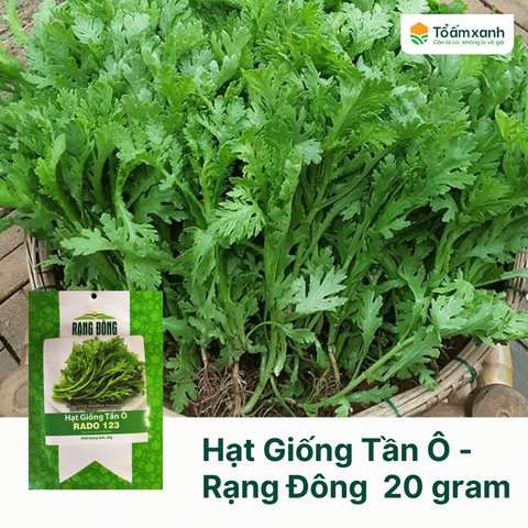 Hạt Giống Tần Ô - Rạng Đông  20 gram