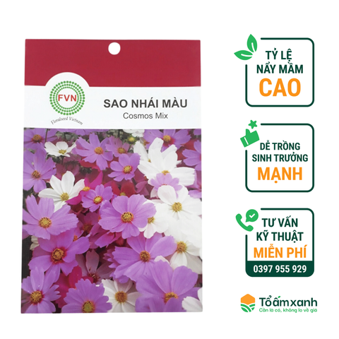 Hạt Giống Hoa Sao Nhái Nhiều Màu - Floralseeds Việt Nam