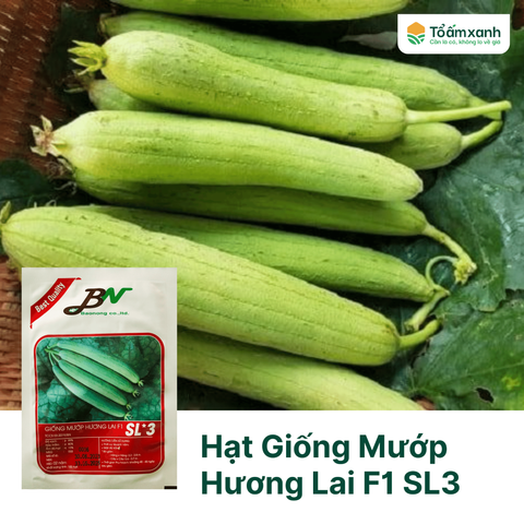 Hạt Giống Mướp Hương Lai F1 SL3 - Bảo Nông