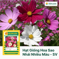 Hạt Giống Hoa Sao Nhái Nhiều Màu - Sen Vàng  0.5 gram