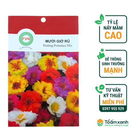 Hạt Giông Hoa Mười Giờ Rũ - Floralseeds Việt Nam