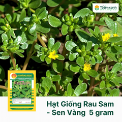 Hạt Giống Rau Sam - Sen Vàng  5 gram