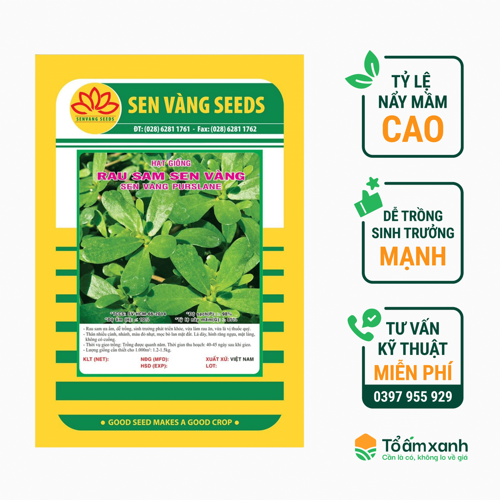 Hạt Giống Rau Sam - Sen Vàng  5 gram