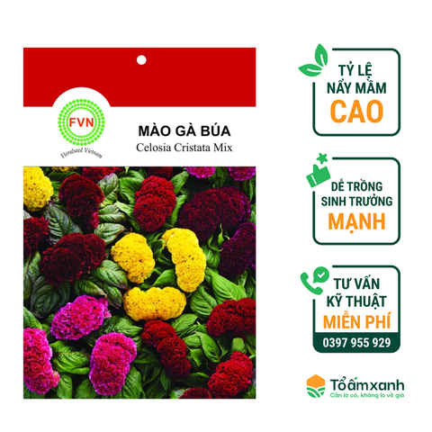 Hạt Giống Hoa Mào Gà Búa - Floralseeds Việt Nam