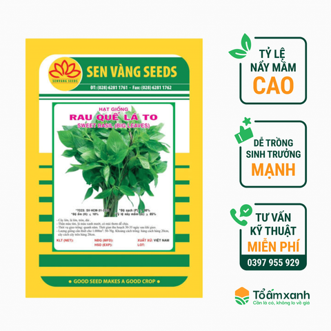 Hạt Giống Rau Quế - Sen Vàng 10 gram